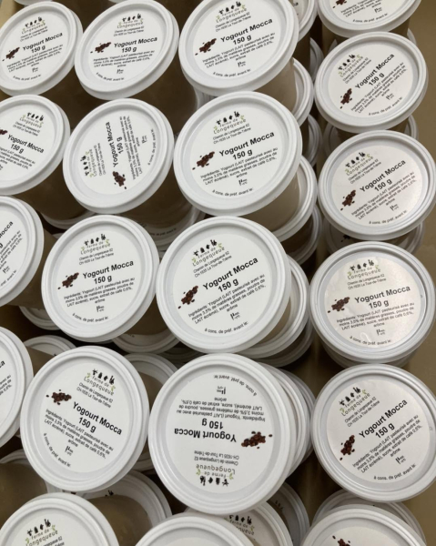 Joghurt Mocca ferme Longequeue